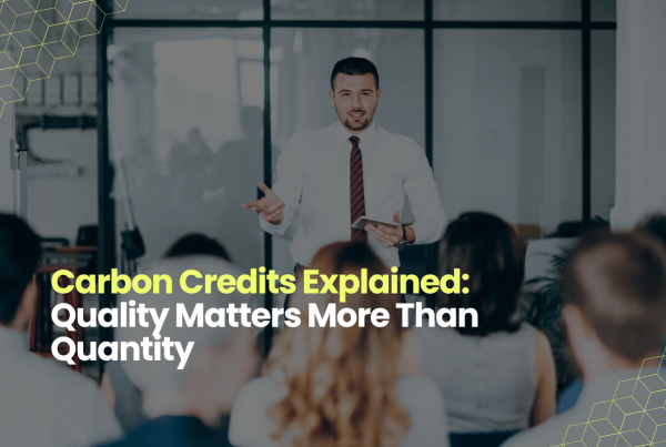 Carbon credits explained