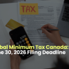 Global Minimum Tax